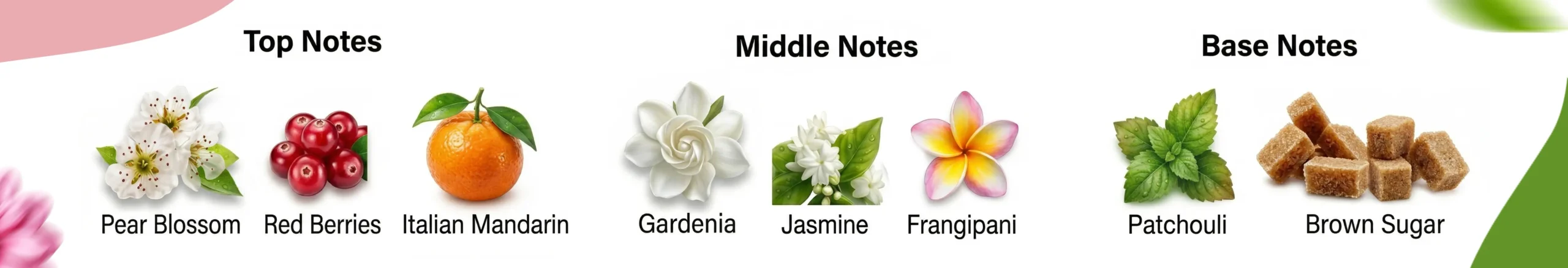 Fragrance Notes