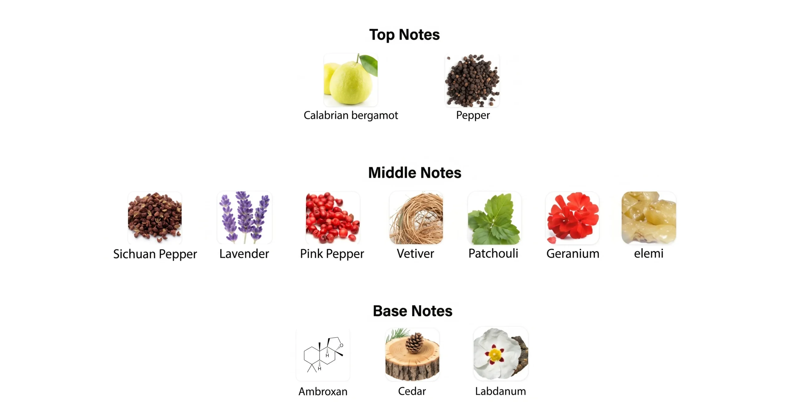 Fragrance Notes