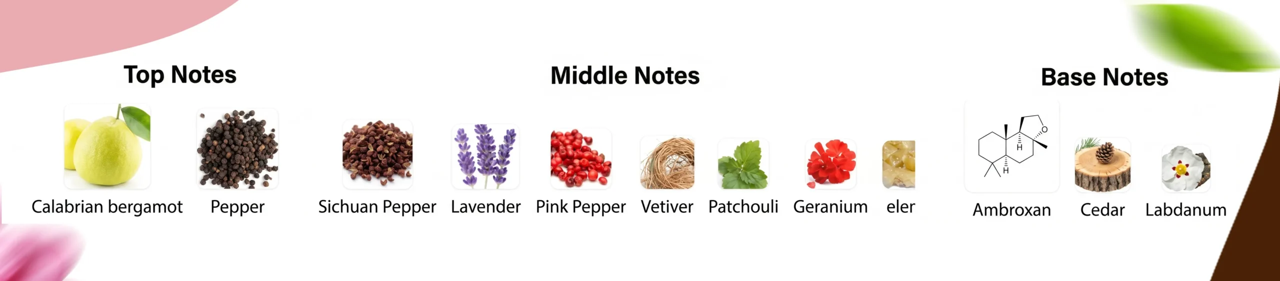 Fragrance Notes